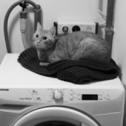 laufende Waschmaschine und liegen gelassener Schal - warum nicht ?